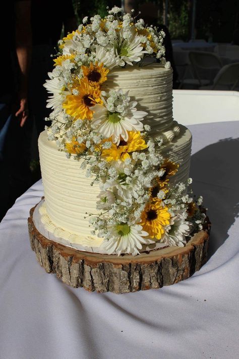 Yellow Quince Theme, Red Velvet Wedding Cake, Sunflower Wedding Cake, Sunflower Wedding Decorations, Wedding Reception Favors, Western Themed Wedding, Sunflower Themed Wedding, Cottage Wedding, Wedding 2024