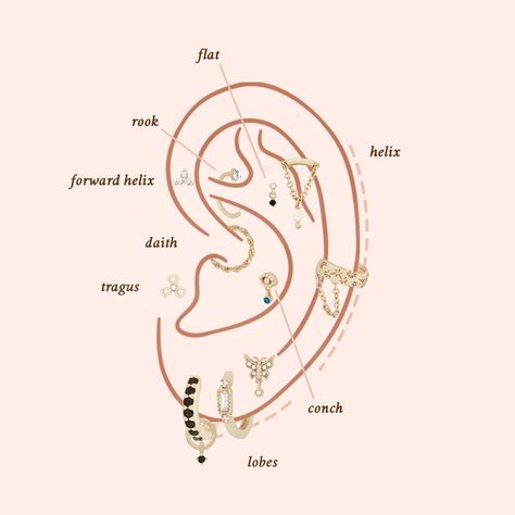 Eat Piercing Types, Ear Piercing Labels, Types Of Piercings Ears Chart, Different Ear Piercings Names, Ear Piercings With Names, Peircings Earring Names, Ear Piercings Chart Names, Names Of Ear Piercings, Type Of Ear Piercings