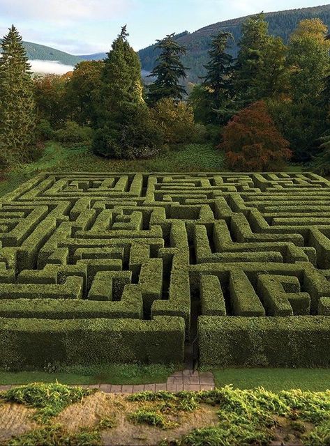 Hedge Maze Aesthetic, Garden Labyrinth, Maze Drawing, Garden Maze, Labyrinth Garden, Labyrinth Maze, Garden Hedges, Sustainable Flowers, Eco Friendly Beauty