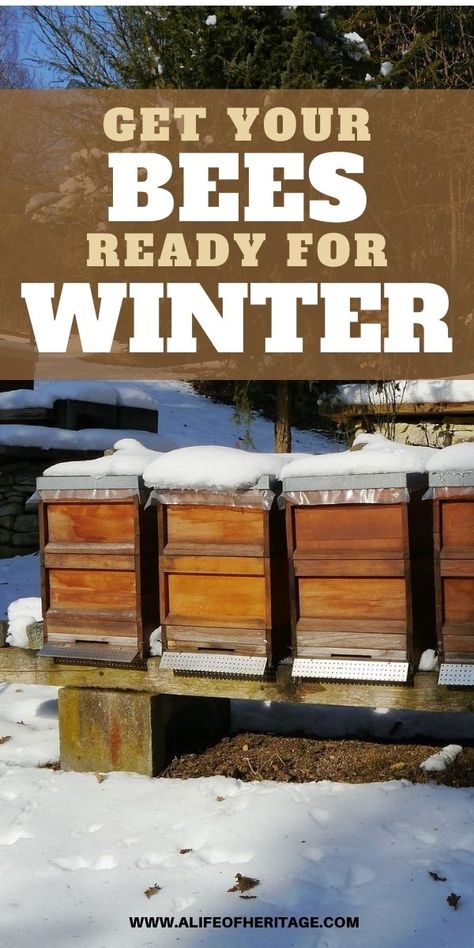 How To Raise Bees, How To Raise Bees For Honey, How To Start A Bee Hive Beekeeping For Beginners, Raising Honey Bees Beekeeping, Bee Keeping For Beginners Backyards, Raising Honey Bees, Raising Bees For Beginners, Bee Keeping For Beginners, Beginner Beekeeping