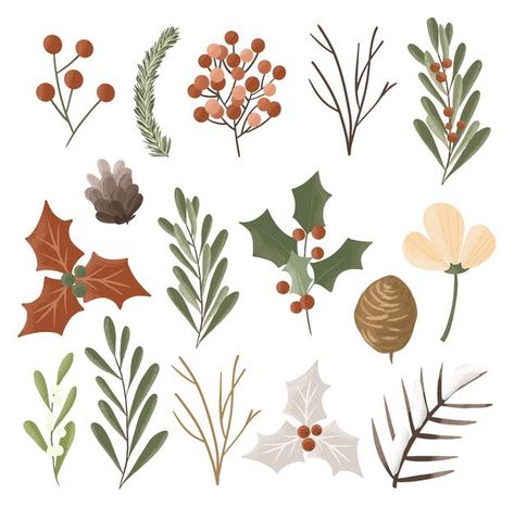 Set of hand drawn winter plants isolated... | Premium Vector #Freepik #vector #christmas #floral #winter #flower Christmas Illustration Design, Winter Drawings, Arte Aesthetic, Christmas Card Illustration, Christmas Plants, Plant Vector, Christmas Doodles, Winter Plants, Floral Drawing