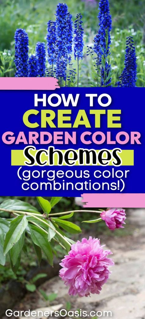 I love these ideas for creating gorgeous garden color schemes. I am updating my backyard landscaping and these tips made choosing the plants so much easier. Garden Color Combinations, Cream Colored Houses, Front Yard Design Ideas, Colorful Landscaping, Yard Design Ideas, Garden Home Ideas, Yard Landscape Ideas, Garden Front Yard, Front Yard Landscape