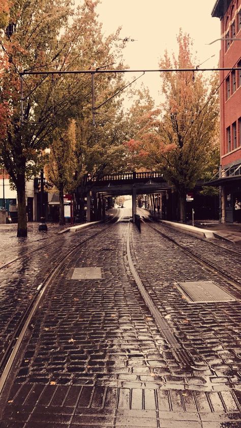 Portland | Oregon | Rainy Day | Autumn | Amber Leaves | Glossy pavement | Rain | Fall | Season | October Portland Oregon Aesthetic, Oregon Aesthetic, Rain Fall, Rainy City, Oregon City, Dream City, A Rainy Day, 2024 Vision, Autumn Aesthetic