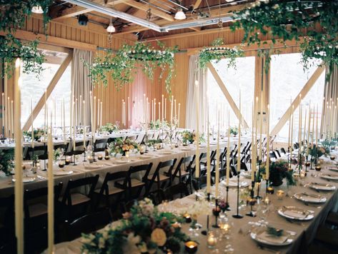 Backyard Tent Wedding, Sundance Resort, Rustic Reception, Backyard Tent, Wedding Venues Utah, Vintage Wedding Photography, Inexpensive Wedding Venues, Real Weddings Photos, Iron Chandeliers