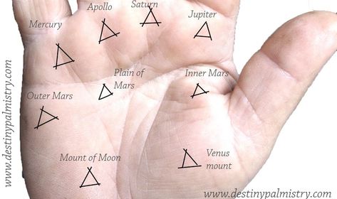 “Some of these markings will take a meticulous eye when analysing what they mean, like whether it is a mix of other lines overlapping or one which stands on its own. The triangle is one which many misidentify because it can appear coincidentally with the crossing of central lines. If that is the case, it has no value.” Triangle Meaning, Palm Reading Charts, Palmistry Reading, Small Wave Tattoo, Palm Lines, Jyotish Astrology, Face Reading, Palm Reading, Waves Tattoo