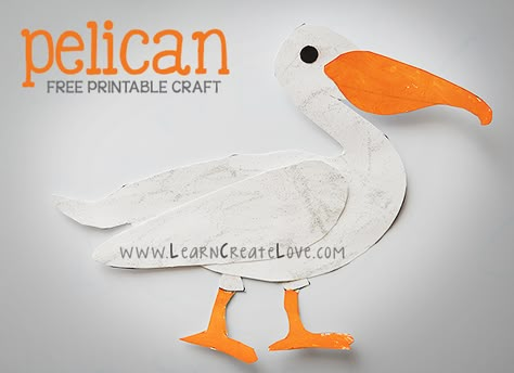 Printable Pelican Craft from LearnCreateLove.com Clay Pelican, White Pelican, Brown Pelican, Free Printable Crafts, Ocean Unit, Vbs 2024, Alphabet Crafts, Bird Crafts, Animal Activities