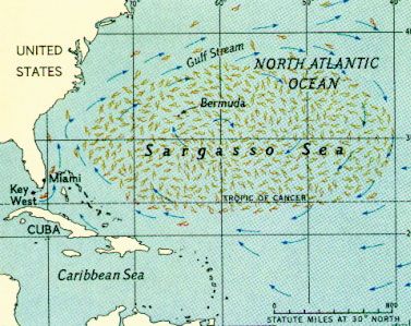 Sargasso Sea Wide Sargasso Sea, Miami Key West, Sargasso Sea, Collective Intelligence, Sea Map, Scared Of The Dark, Merchant Marine, Bermuda Triangle, Oceanography