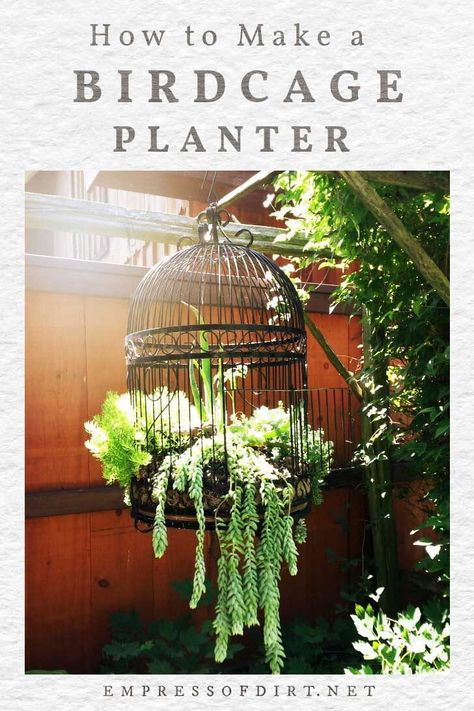 Birdcage Planter, Creative Planter, Porch Flowers, Bird Cage Decor, Vintage Garden Decor, Garden Art Sculptures Diy, Garden Artwork, Garden Art Projects, Garden Art Sculptures