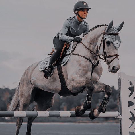 Showjumping Aesthetic, Horsey Life, Horse Riding Aesthetic, Show Jumping Horses, Horse Riding Outfit, Equestrian Aesthetic, Cute Horse Pictures, Horse Riding Clothes, Horse Equipment