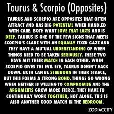 my boyfriend is a Taurus.. none of us really take zodiac signs seriously but this is interesting Scorpio And Taurus Relationship, Aquarius Lover, Taurus Relationships, Aquarius Relationship, Leo Man, Leo And Aquarius, Taurus And Scorpio, Leo Traits, Scorpio Love