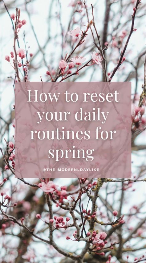 10 simple hacks to reset your daily habits and routines for spring. Tips for refreshing your home and mindset this spring. Home decor spring aesthetic. Get ready for spring and summer Fresh Spring Aesthetic, Spring Habits, Spring Cleaning Aesthetic, Spring Routine, Spring Season Aesthetic, Summer Reset, Wellness Vibes, Spring Reset, Refresh Your Mind