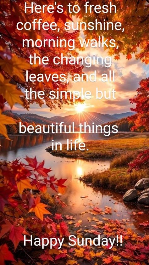 Fall Good Morning Quotes Inspirational, Sunday Fall Morning Quotes, Autumn Friday Morning, Sunday Afternoon Quotes, Happy Sunday Quotes Positivity, Happy Sunday Coffee, Sunday Morning Quotes Inspirational, Weekday Motivation, Happy Sunday Messages