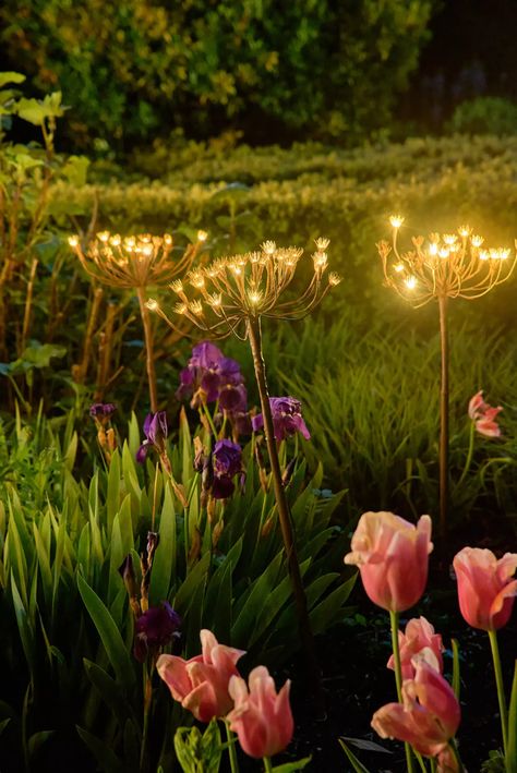 Solar Garden Stakes, Starburst Light, Solar Powered Lights, Outdoor Lights, Solar Garden, Enchanted Garden, Solar Lights Garden, White Led Lights, Garden Shop