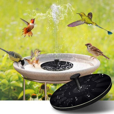 Hummingbird Fountain, Solar Water Fountain, Solar Fountain, Water Fountains Outdoor, Outdoor Fountain, Have Inspiration, Small Ponds, Solar Water, Fountains Outdoor