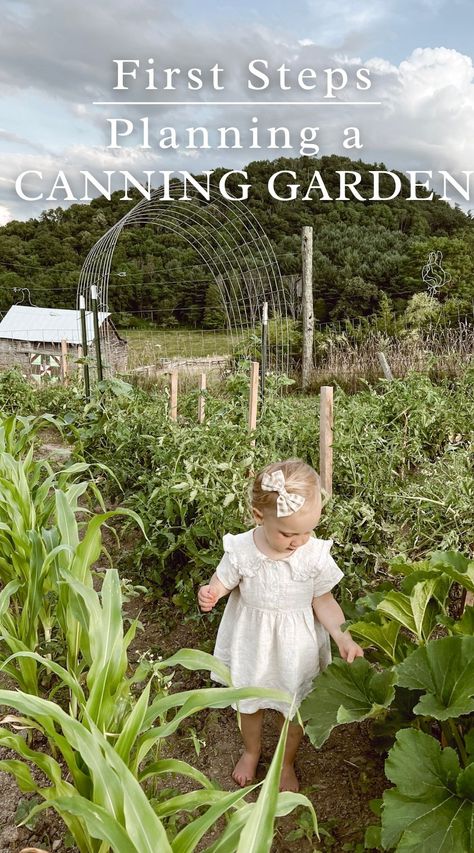 Have you always wanted to have a canning garden? I want to stir your heart to want to learn more about growing your own food to can. To avoid overwhelm, I'm going to start with basics. Here I'll share the simple first steps to planning a canning garden. Food To Can, Canning Garden, Garden Canning, Growing Your Own Food, Homemade Sauerkraut, Garden Harvest, Grow Your Own Food, I Want To Be, Grow Your Own