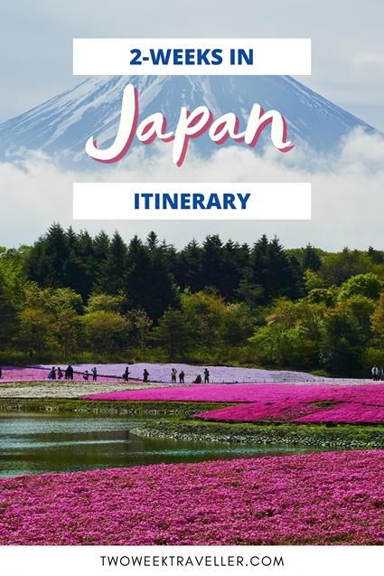 [2024] Ultimate 2 Weeks in Japan: 2 Itineraries with map 2 Weeks In Japan Itinerary, Japan Itinerary Two Weeks, 2 Weeks In Japan, Naoshima Island, Hiroshima Peace Memorial, Tokyo Travel Guide, Japan Itinerary, Japan Guide, Travel Ads