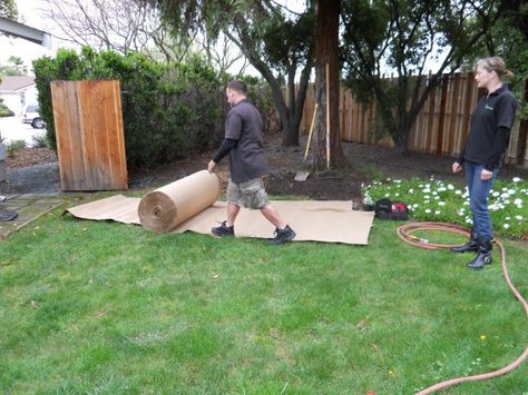 Lose a Lawn, Gain a Garden Sheet Mulching, Grass Alternative, Lawn Alternatives, Cleaning Painted Walls, Deep Cleaning Tips, Front Lawn, Garden Elements, Composting, House Cleaning Tips