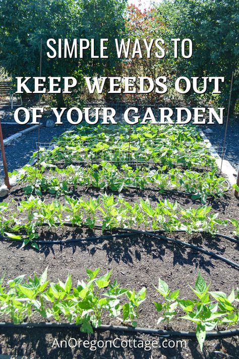 How To Keep Weeds Out Of Your Garden: Simple Organic Techniques - An Oregon Cottage Weeding Tips, Oregon Cottage, Cottage Recipes, Diy Gardening Ideas, Farmhouse Life, Plants In Pots, Vegetable Bed, Gambling Art, Simple Farmhouse