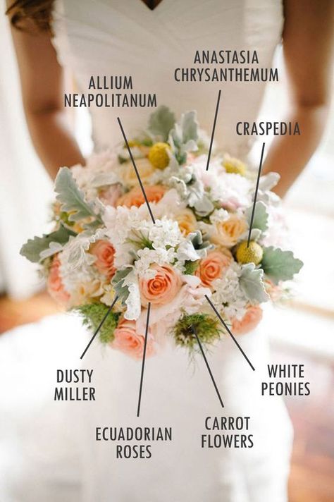 Peach and white wedding flowers with dusty miller, peonies and craspedia // Floral Bouquet Recipes by Theme - Part 2: Peach And White Wedding Flowers, Peach And White Wedding, Bouquet Recipes, Bridal Bouquet Peach, Bouquet Recipe, Peach Wedding Flowers, Peony Bouquet Wedding, White Bridal Bouquet, Peony Wedding