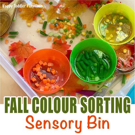 Autumn Colour Sorting Sensory Bin - HAPPY TODDLER PLAYTIME Sorting Sensory Bin, Fall Activities For Toddlers, Color Sorting Activities, Vegetable Mixes, Orange Bowl, Sensory Activity, Green Bowl, Sensory Bin, Color Sorting