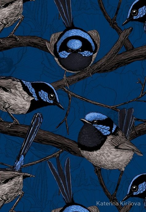 "Night fairy wrens" Posters by Katerina Kirilova | Redbubble #bird #pattern #night Wren Wallpaper, Fairy Wrens, Night Fairy, Bird Pattern, Forest Art, Wren, Art Pictures, Sale Poster, Bugs