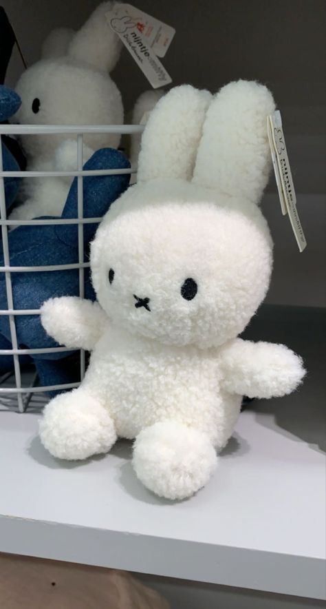 Aesthetic Stuffed Toys, Miffy Plush Aesthetic, Teddies Aesthetic, Stuffed Animal Wallpaper, Cute Stuffed Animals Aesthetic, Sanrio Teddy, White Stuffed Animals, Cute Stuff Animals, Boneka Aesthetic