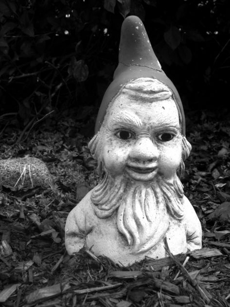 A Rather Creepy Garden Gnome Discovered Buried up to His Chest in Front of a Cottage on Bittersweet Lane in Hampton, NH Creepy Gnome, Gnome Aesthetic, Ghoulish Garden, Creepy Garden, Lawn Gnome, Surreal Photography, Garden Gnomes, Garden Gnome, Surrealism Photography