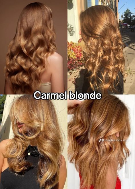 Box Dye Hair Color At Home, Blonde Autumn Hair, Styl Grunge, Ugly Hair, Brown Hair Inspo, Honey Blonde Hair, Christmas Hairstyles, Blonde Hair Inspiration, Blonde Hair Looks