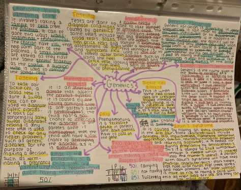 Gcse Health And Social Care, Health And Social Care Revision Level 3, Health And Social Care Notes, Health And Social Care Revision Gcse, Health And Social Care Aesthetic, Health And Social Care Revision, Spider Diagram, Literature Notes, Human Body Projects