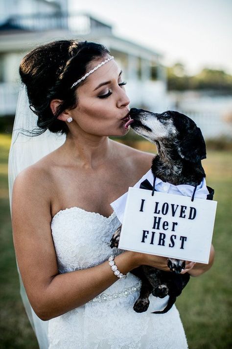 24 Wedding Pups That Are Just As Cute As Any Flower Girl Or Ring Bearer Dogs In Weddings, Wedding Ceremony Signs, Ceremony Signs, Wedding Pets, Future Wedding Plans, Cute Wedding Ideas, A Wedding Dress, Dog Wedding, Wedding Pics