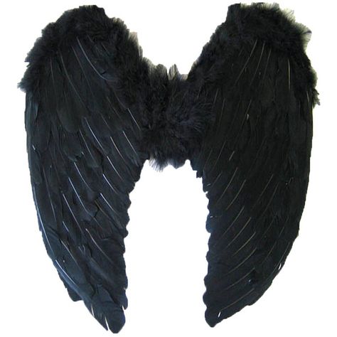 Angel Wings Halloween, Black Angel Costume, Feather Fairy, Wing Costume, Angel And Devil Costume, Dark Angel Costume, Fancy Halloween Costumes, Fairy Wings Costume, Bumble Bee Costume