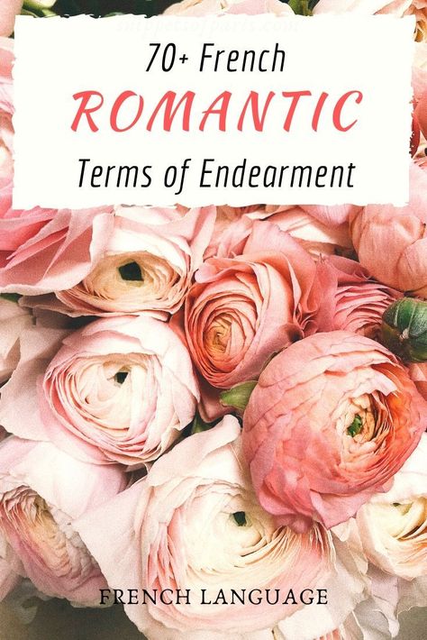 From stuffed toys to farm animals to vegetables, French terms of endearment vary widely. Funny, sweet, and romantic French nicknames for your loved one.    for Boyfriend | for Girlfriend | for guys| for girls | unusual nicknames | unique | love words | nicknames for kids | romantic terms of endearment | sweet little nothings French Nicknames, French Pick Up Lines, French Quotes About Life, French Terms, Paris Quotes, Romantic Funny, Funny Nicknames, French Songs, French Lifestyle