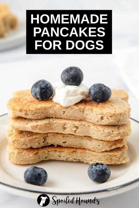 pancake breakfast, pancakes, pancakes vegan, pancak, pancake healthy, pancake recips, pancakes fluffy, pancake mixes, pancake mix, pancakes with strawberry, pancakes muffins, pancake breakfast recipes, pancake toppings, pancakes ideas, pancake ideas, pancake breakfast ideas, pancaked, pancake, pancakes from scratch Mini Waffle Dog Treats, Banana Pancakes For Dogs, Dog Friendly Pancake Recipe, Homemade Breakfast Food For Dogs, Healthy Breakfast For Dogs, Dog Friendly Pancakes, Healthy Dog Breakfast Recipes, Pancakes For Dogs Recipe, Waffles For Dogs