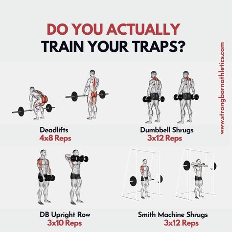 Dumbell Trap Workout, Workout For Traps, Trap Muscle Workout, Low Trap Exercises, Trap Excersises, Lower Traps Exercises, Mid Trap Exercises, Trapizeus Muscle Workout, Trap Exercises For Women