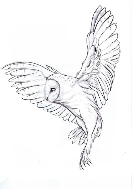 Barn Owl Tattoo, Tier Tattoo, 얼굴 드로잉, Owl Tattoo Design, Owls Drawing, Desenho Tattoo, Owl Tattoo, Animal Sketches, Owl Art