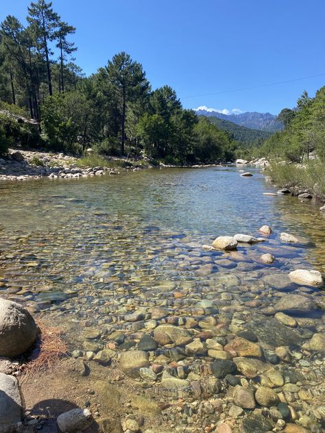 River Asthetic Picture, River Photoshoot, River Aesthetic, Frio River, River Summer, River Pictures, River Side, Nature River, River Life