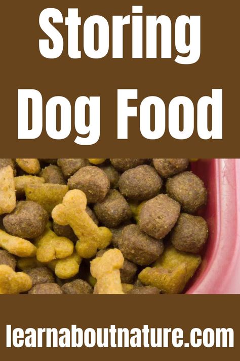 Storing Dog Food Nature Website, Land Animals, Multiple Dogs, Domestic Animals, Dog Store, About Nature, Dry Dog Food, Dog Food, Dog Treats