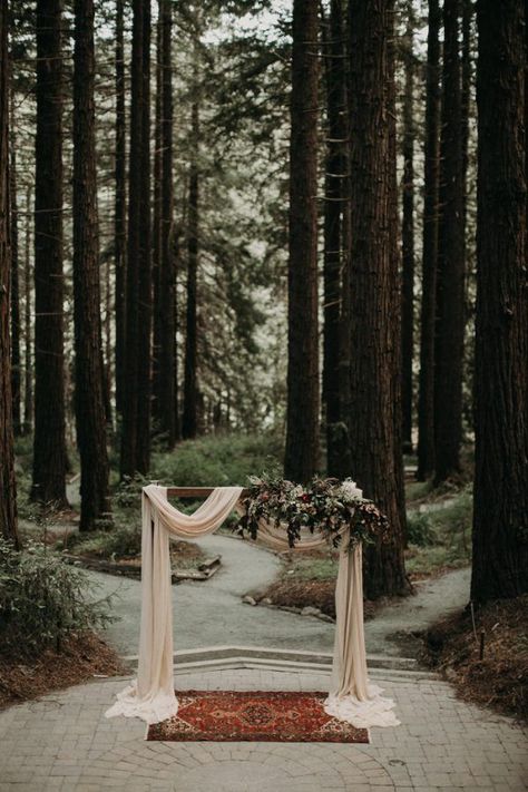 Forest Wedding Ceremony, Wedding Ceremony Ideas, Flowers And Greenery, Wedding Image, Diy Outdoor Decor, Woodland Forest, Outdoor Wedding Decorations, Into The Woods, Woodland Wedding