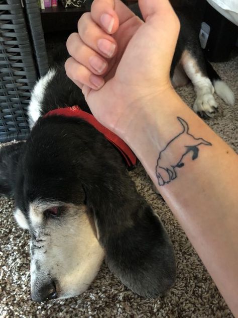 23 Tattoo Design Ideas For Basset Hound Lovers | Page 2 of 5 | The Dogman Bassethound Tattoos, Bassett Hound Tattoo, Hound Dog Tattoo, Sadie Tattoo, Basset Hound Tattoo, Hound Tattoo, Dog Outline Tattoo, Dog Ear Tattoo, 23 Tattoo