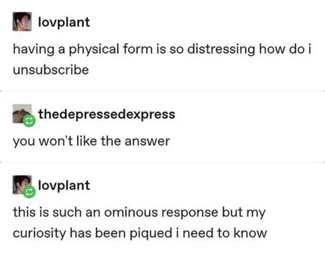 Textposts Tumblr Funny, Ange Demon, Funny Tumblr Posts, Tumblr Quotes, Incorrect Quotes, Funny Me, Text Posts, Tumblr Posts, Tumblr Funny