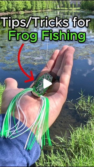 jameson on Instagram: "Tips/Tricks for fishing the hollow body frog. #fishing #fish #reels #bassfishing #pondhopping #topwater #howto" Frog Fishing, The Hollow, July 12, Fishing Reels, Bass Fishing, Tips Tricks, Instagram Tips, Fishing, Fish