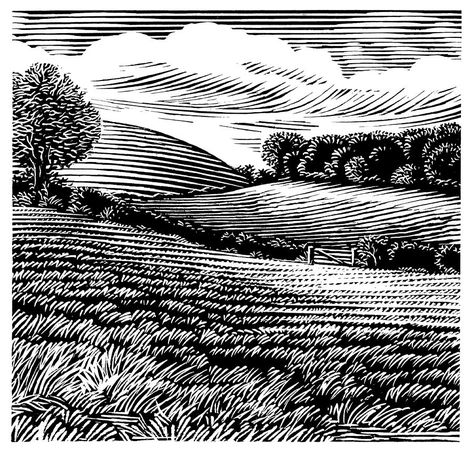 Woodcut Landscape Black And White, Landscape Illustration Black And White, Linotype Illustration, Landscape Lineart, Chris Wormell, Woodcut Illustration, Illustration Black And White, Woodcut Art, Scratchboard Art