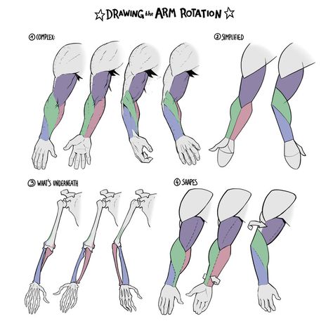 ArtStation - Figure Drawing Tutorials Arm Anatomy, Figure Drawing Tutorial, Arm Drawing, Arm Art, Anatomy Tutorial, Human Anatomy Drawing, Muscle Anatomy, Hand Drawing Reference, Anatomy Drawing