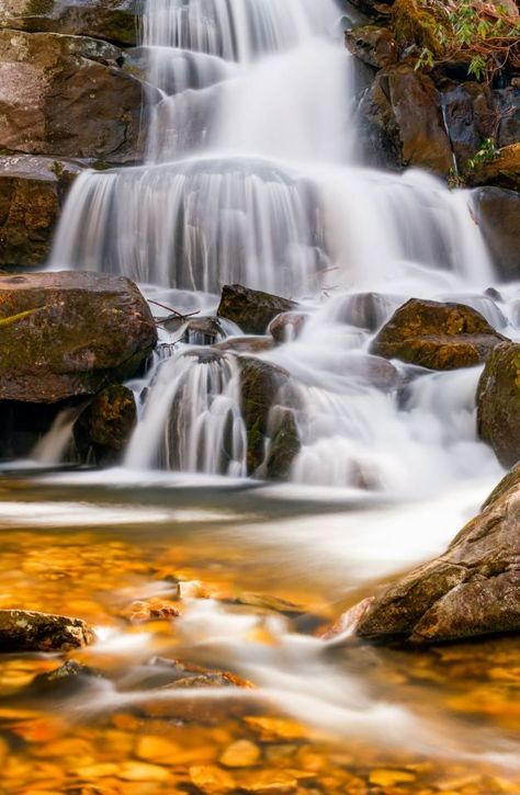 Great Smokey Mountains National Park, Tennessee. Kenneth Keifer Smokey Mountains Tennessee Pictures, Tennessee Pictures, Smokey Mountains National Park, Mountains Tennessee, Laurel Falls, Water Falls, Image Nature, Great Smoky Mountains National Park, Smoky Mountain National Park