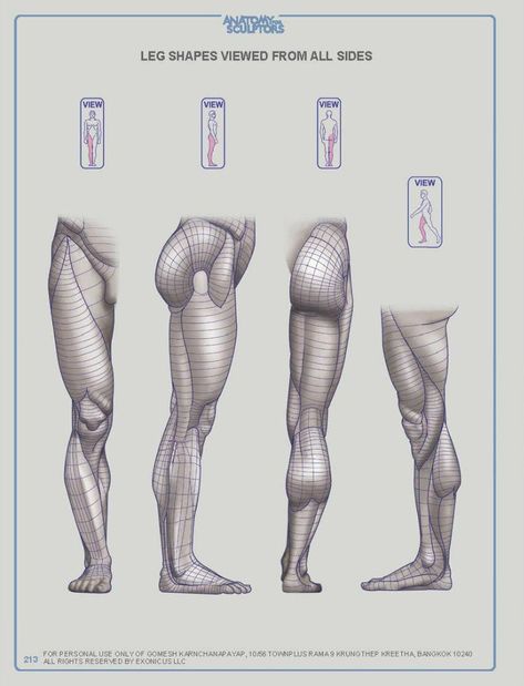 ANATOMY FOR SCULPTORS – 218 photos | VK Leg Anatomy, Drawing Legs, Man Anatomy, Anatomy Sculpture, Anatomy Tutorial, Human Anatomy Drawing, Výtvarné Reference, Human Figure Drawing, Human Anatomy Art