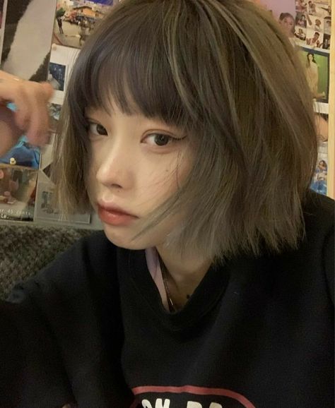 Short Hair Glasses, Korean Bangs, Puffy Hair, Hair Goal, Peinados Fáciles Para Cabello Corto, Shot Hair Styles, Winter Hair Color, Brunette To Blonde, Hair Color And Cut