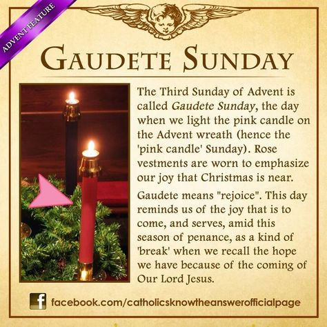 Gaudete WeekOur week begins with “Gaudete Sunday.” Gaudete means “rejoice” in Latin.   It comes from the first word of the Entrance antiphon on Sunday.   The spirit of joy that begins this week comes from the words of Paul, “The Lord is near.”   This joyful spirit is marked by the third candle of our Advent wreath, which is rose coloured, and the rose coloured vestments often used at the Eucharist. Advent Catholic, Our Lady Of Immaculate Conception, Third Sunday Of Advent, Advent Prayers, Catholic Answers, Catholic Christmas, Catholic Beliefs, 17 December, Advent Season