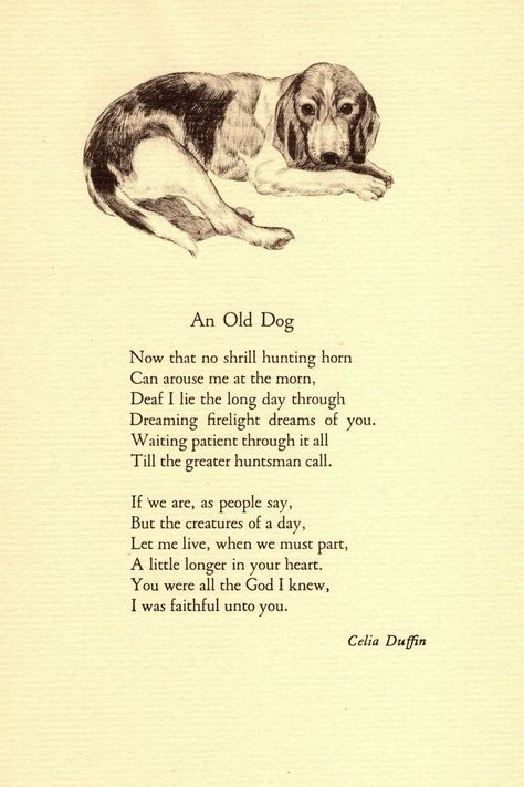 Dog Poetry, Beagle Art, Dog Poems, Dog Quotes Love, Old Dog, Print Wall Decor, Old Dogs, Vintage Dog, Arte Fantasy