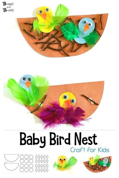 Spring Craft for Kids: Nest and Baby Bird Craft- These cute, paper chicks are perfect for toddlers and preschool! Post includes free printable templates. #buggyandbuddy #craftsforkids #kidscrafts #preschool #preschoolcrafts #birdcrafts #birdcraftsforkids #springcraftsforkids #ece #kindergarten #kindergartencrafts via @https://www.pinterest.com/cmarashian/boards/ Spring Eyfs, Spring Toddler Crafts, Bird Nest Craft, Bird Craft, Preschool Craft, Spring Preschool, Spring Craft, Spring Kids, Spring Crafts For Kids