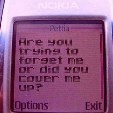 Texts Aesthetic, Message Aesthetic, Messages Aesthetic, Y2k Quotes, Flip Phone Aesthetic, Phone Text Message, Iphone Texts, Devil Aesthetic, Phone Quotes